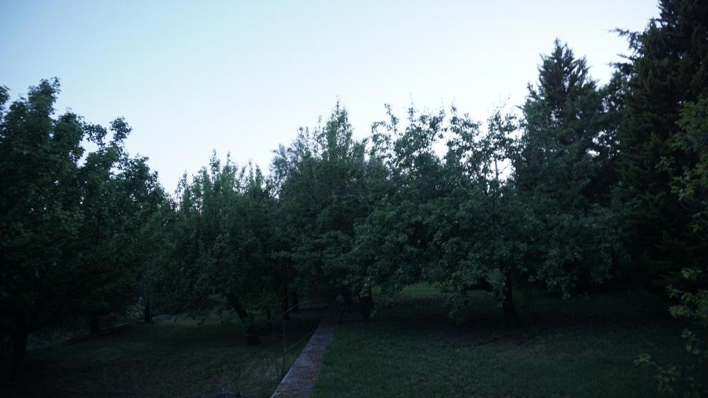 KAVET Palio Cottage photo 2