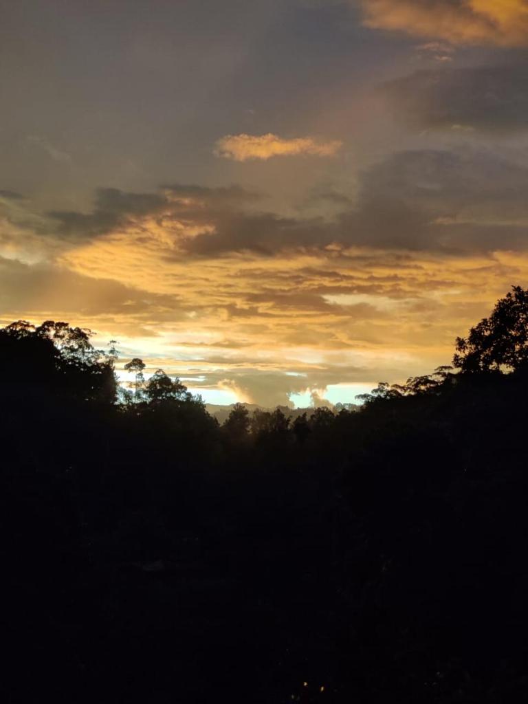 Secret Nest Homestay photo 4