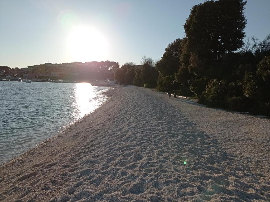 Luxury home Alpha, pool, camp Volme - nearby Kamenjak photo 4