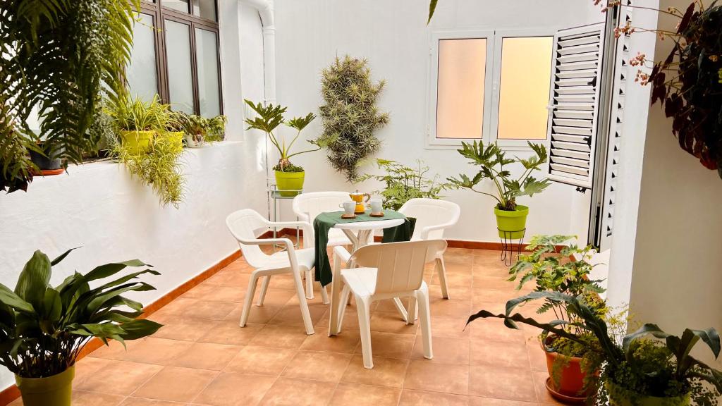 La Orquídea photo 1