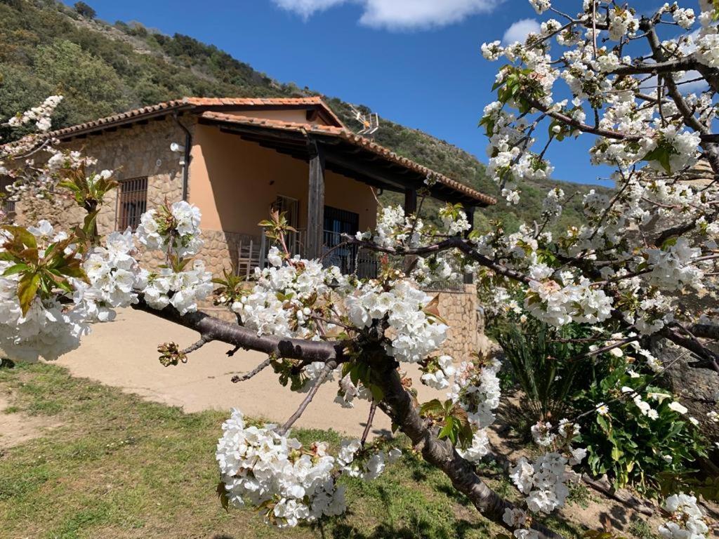 Casa Rural Canchal Madroñeras *** photo 1