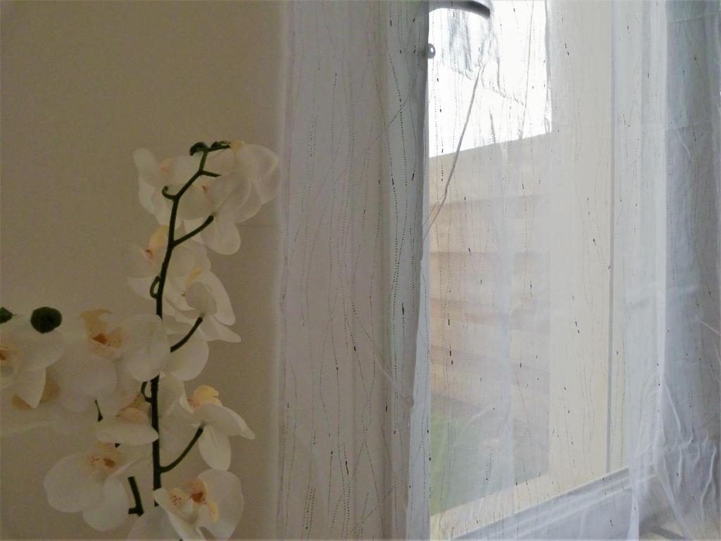 Gîte de L'Epicière photo 1