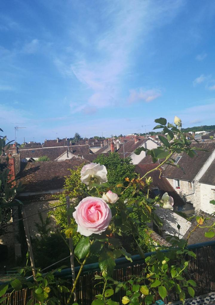 Atelier d'Art - vue panoramique photo 3