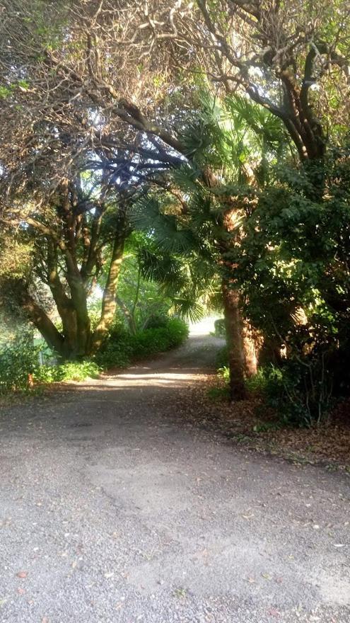 Irongate Retreat photo 4