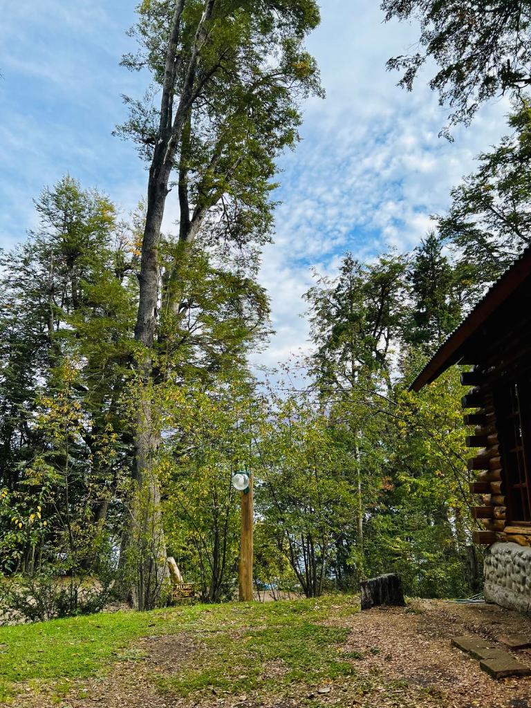 Cabaña en la costa del Lago Futalaufquen - Parque Nacional Los Alerces photo 2