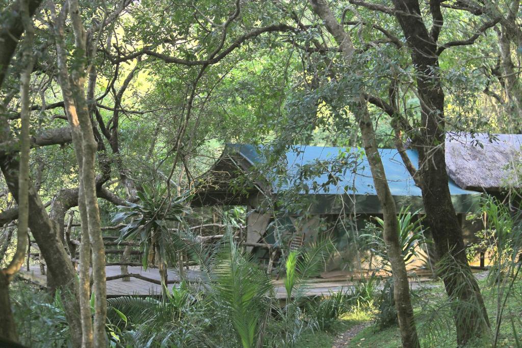 Phophonyane Falls Ecolodge photo 1