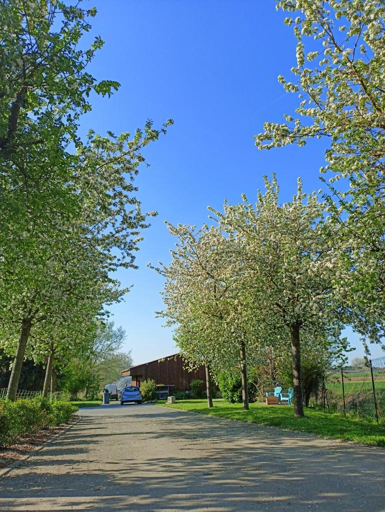 Les chambres d'hôtes DU VERT GALANT " l'Allée des champs" photo 4