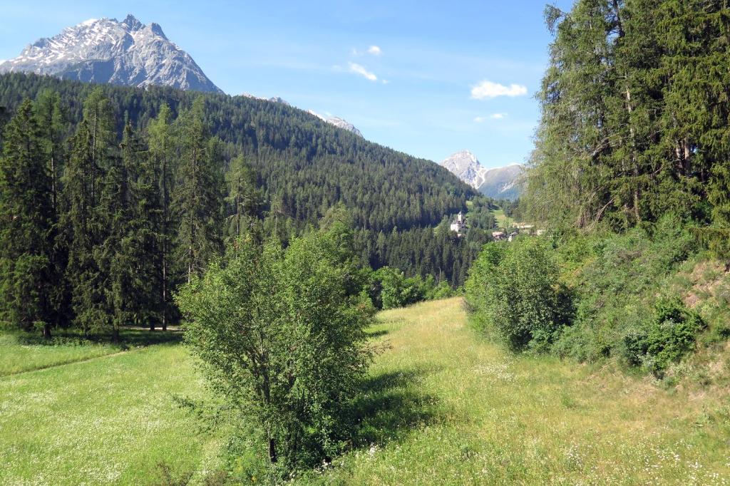 Apartment Scuol photo 1