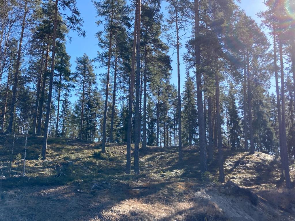 Röda Stugan photo 2