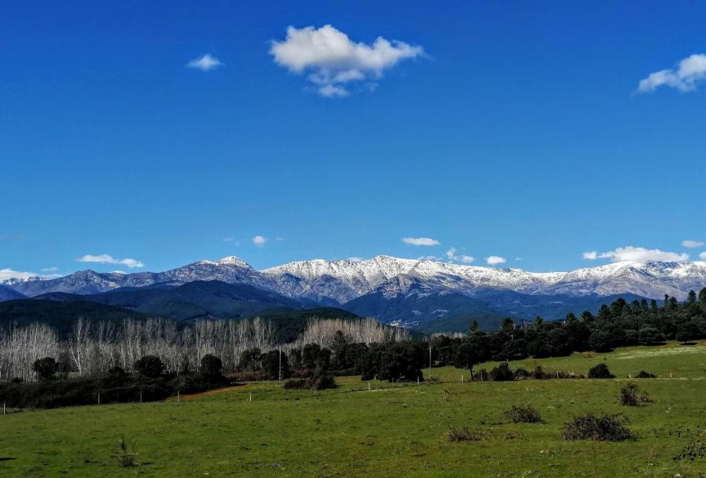 Estrellas de Gredos photo 2