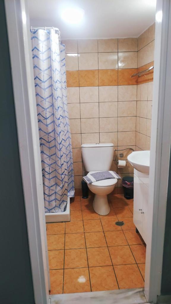 City Melody Accomodations photo 3