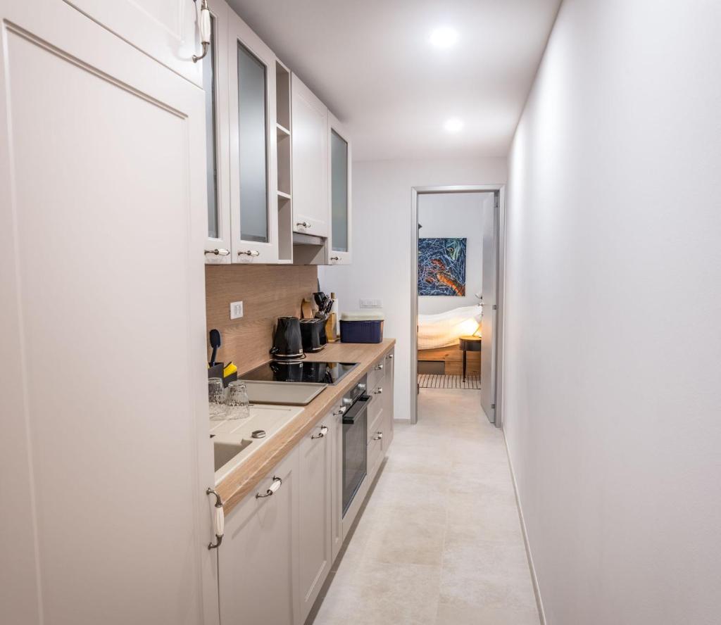 Apartment Nobilis photo 2