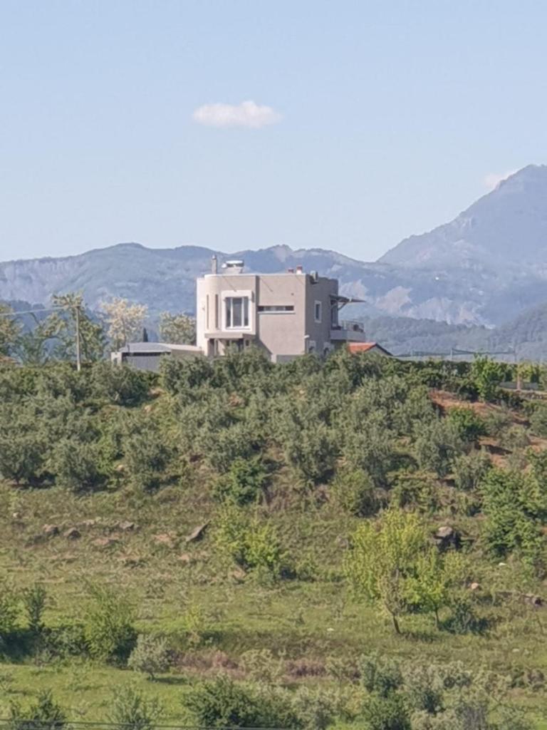 HILLTOP HIDEAWAY photo 2