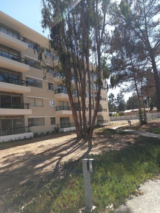 Hermoso Dpto entre bosque y piscina. photo 3
