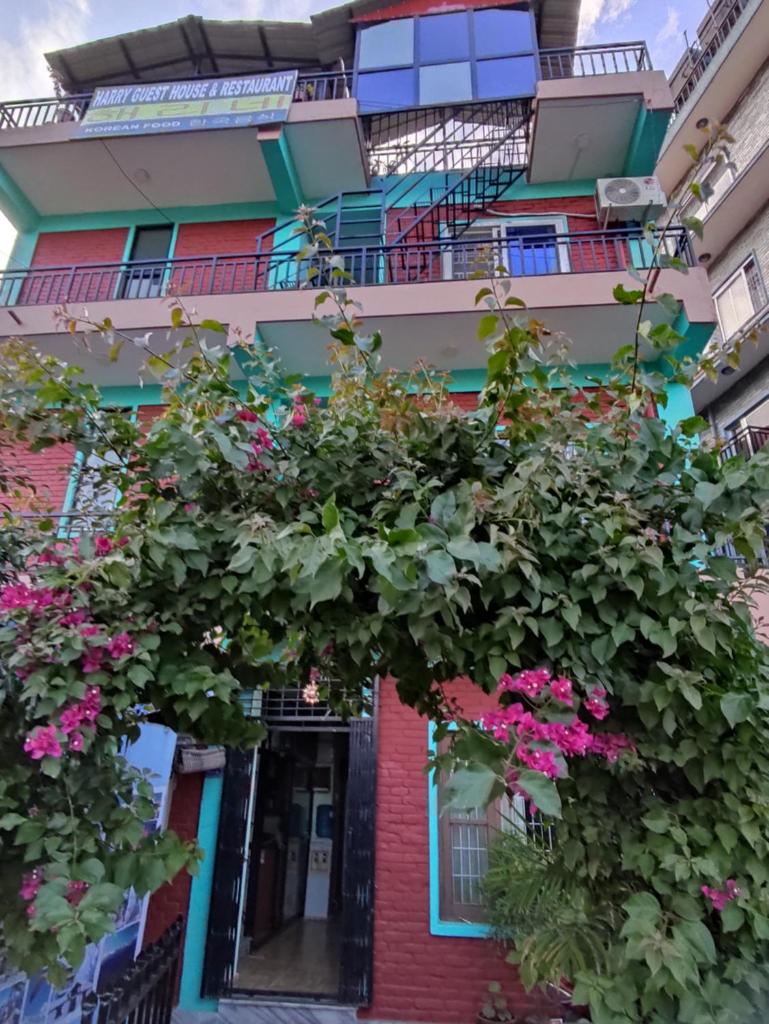 Harry Guest House & Restaurant photo 3