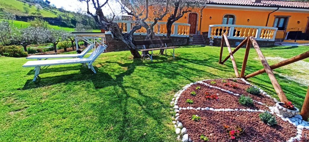 Chalet negli ulivi photo 3