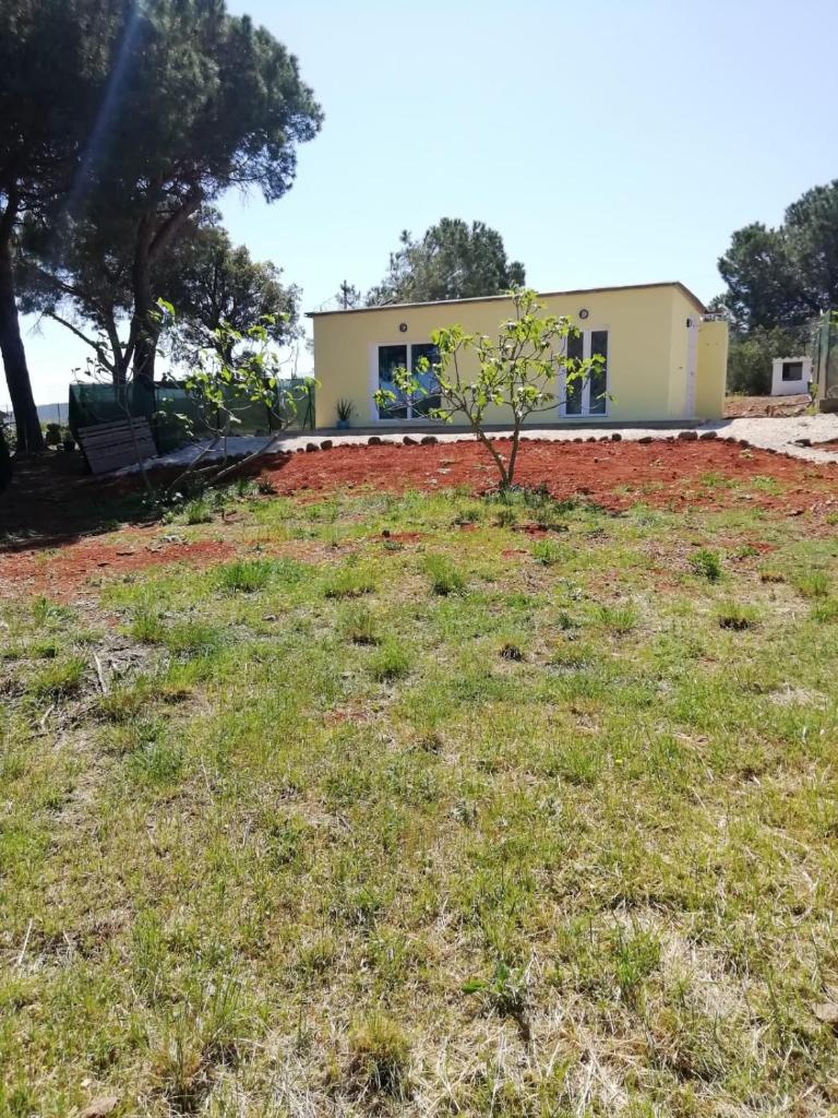 La casa dei fichi photo 2