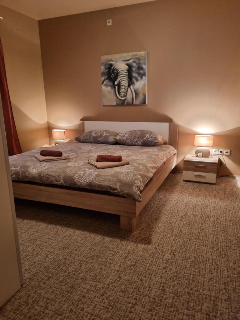 Apartment Lilly photo 1