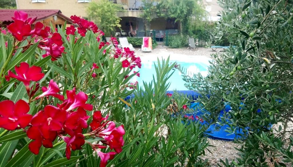 Chambre studio cuisine indépendant 2 pers piscine photo 1