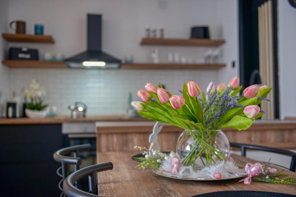 Dream Apartment Vršac