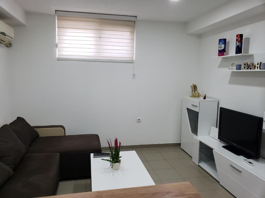 Apartmani Pajic photo 1