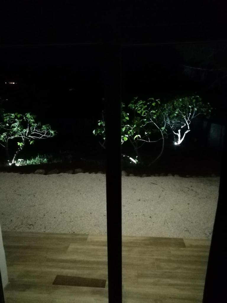 La casa dei fichi photo 3
