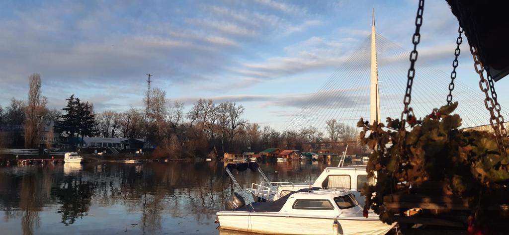Nature and atractive house boat photo 2