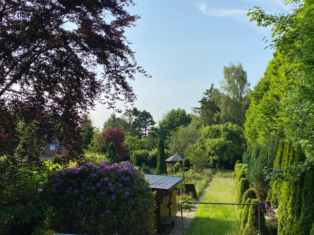 Ferienwohnung zwischen Wald und See photo 2