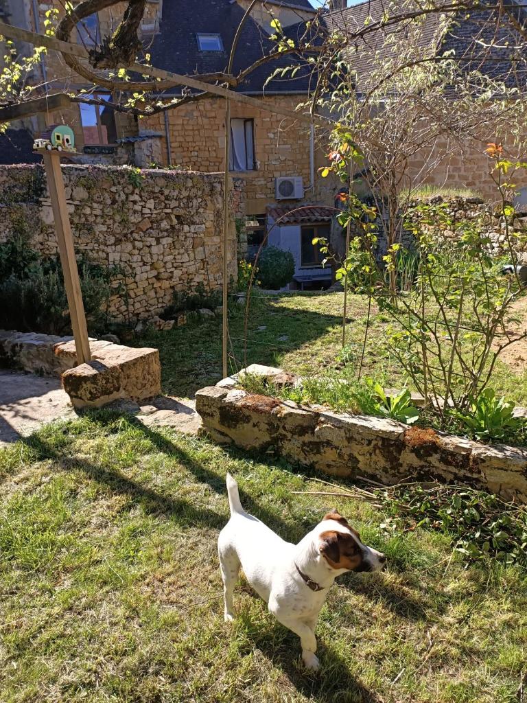 Maison de caractère au cœur de la cité médiévale de Gourdon photo 2