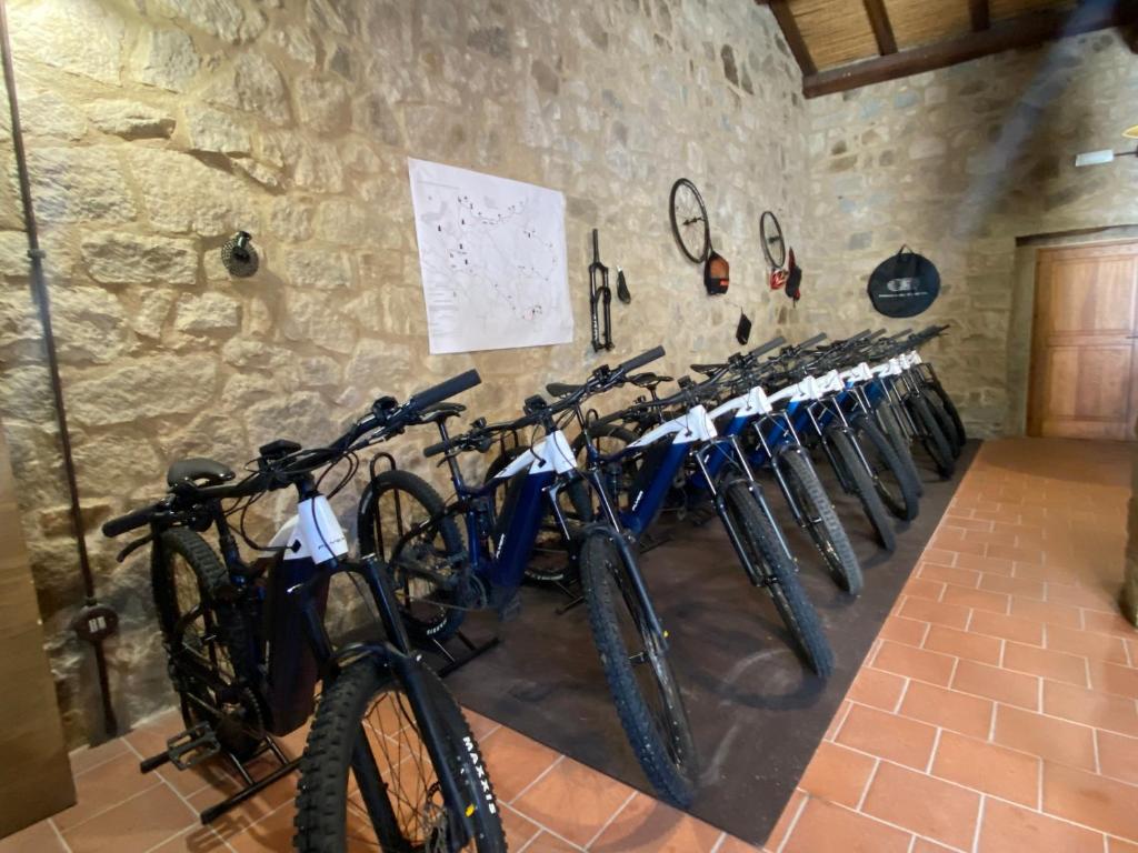 Bed and Bike Antico Mulino photo 1