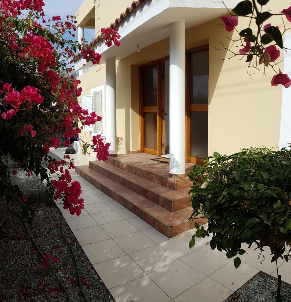 Beautiful modern apartment with private pool