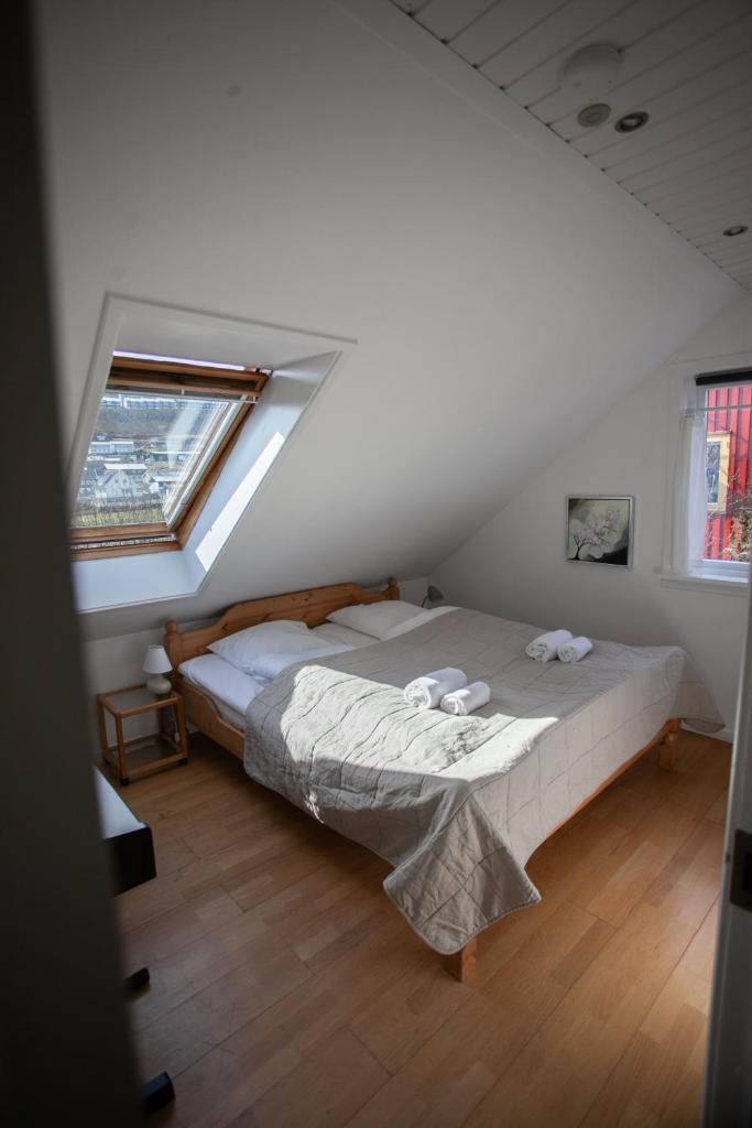 Loft / Nature / Sandagerð / Walks / Free Parking photo 1