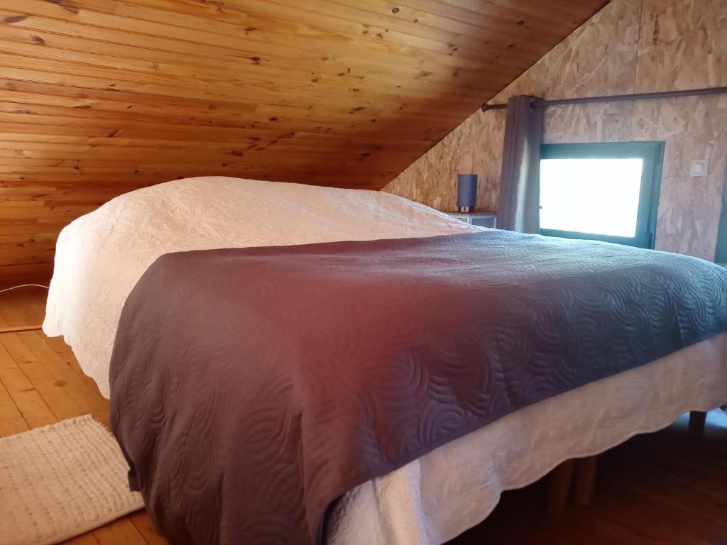 Chalet en forêt, brame du cerf photo 3