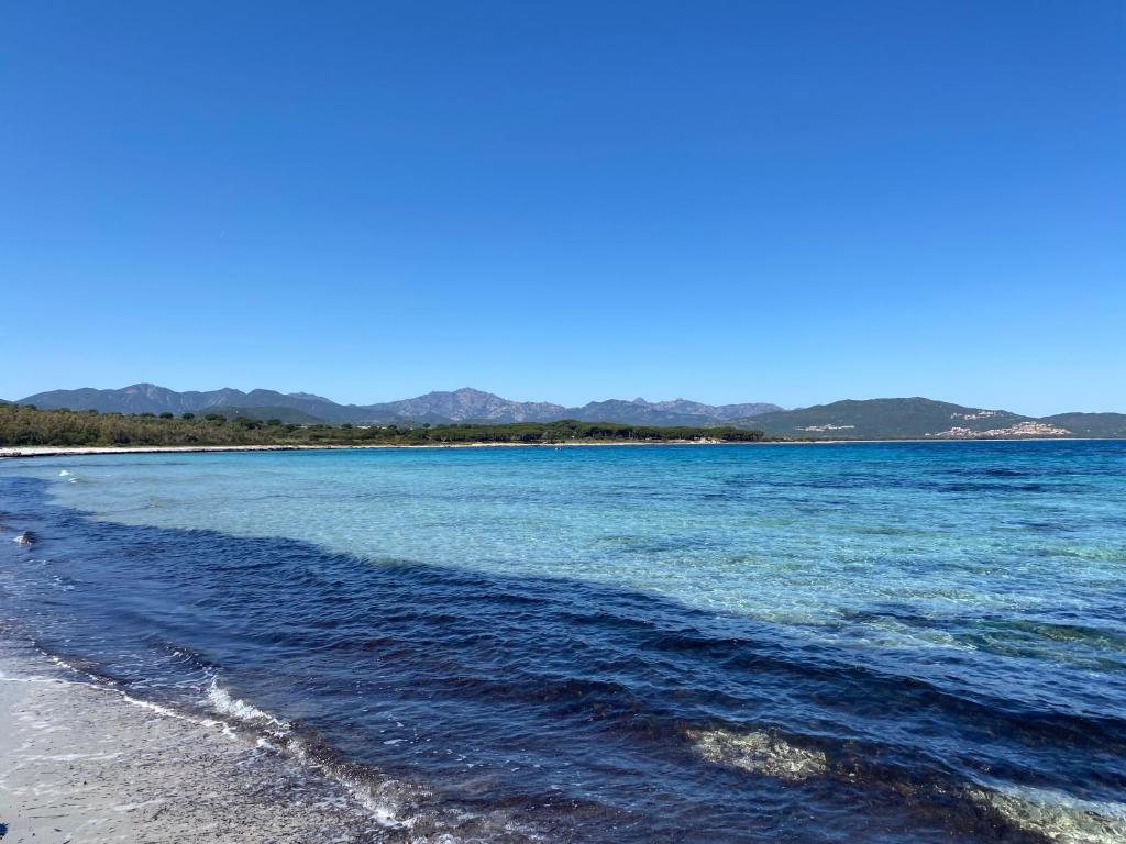 La PAVONCELLA sul MARE photo 2