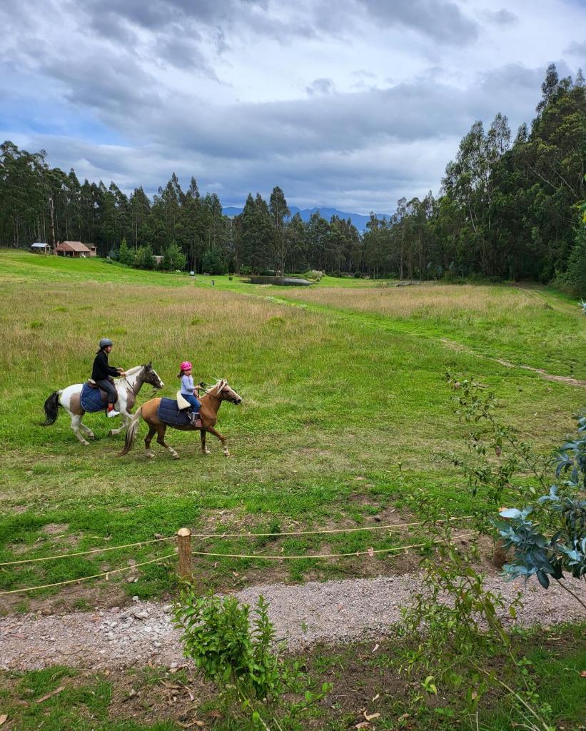 Palumbo Glamping & Villas photo 1