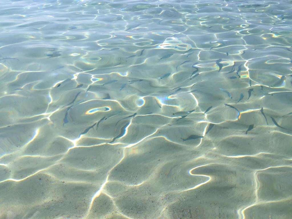 Villetta Kala E Moru Sa oghe e su mare photo 2