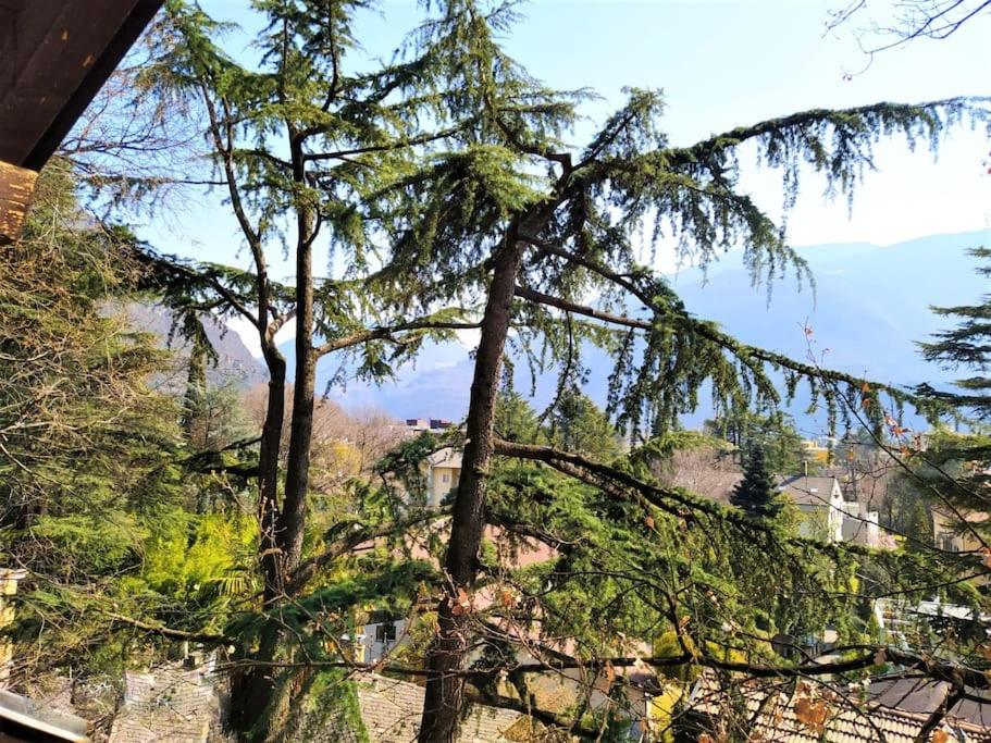 TORRE GARDEN HOME - casa singola nella città di Bolzano con giardino privato photo 3