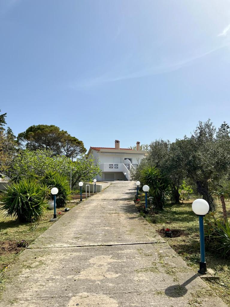 Alepochori Seaside Village photo 2