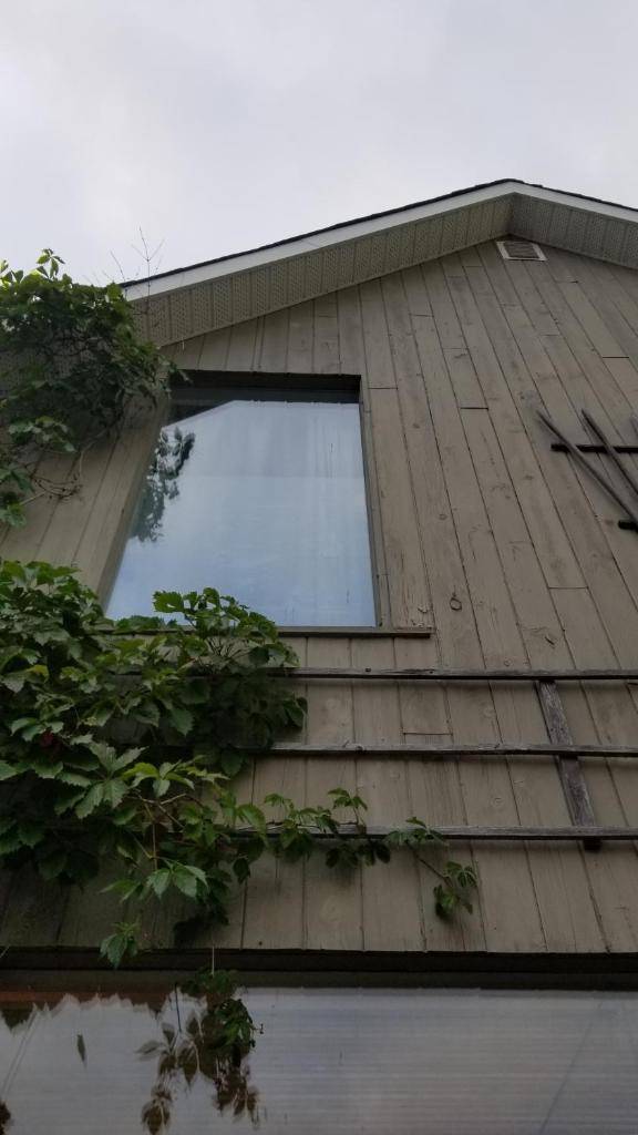 Rothesay Motel photo 4