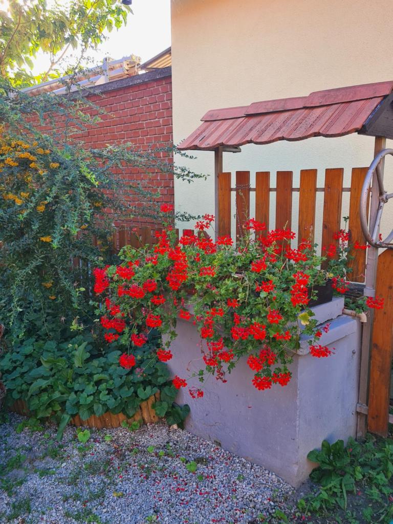 Kriszta apartman photo 1