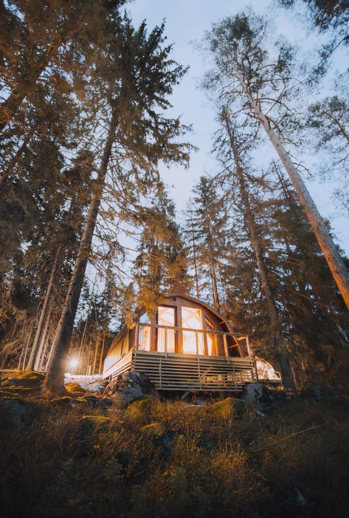 Haltia Lake Lodge nature boutique hotel & glamping photo 3