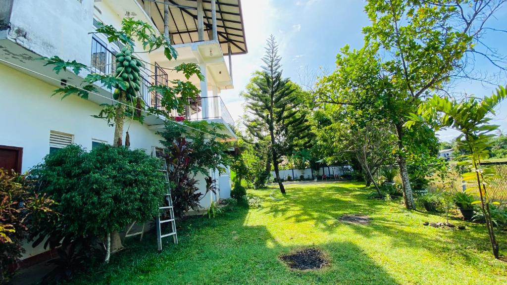Owin Rose Yala Safari Hotel photo 2
