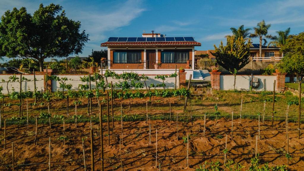 Quinta Sofia Valle de Guadalupe - Tap to explore photos