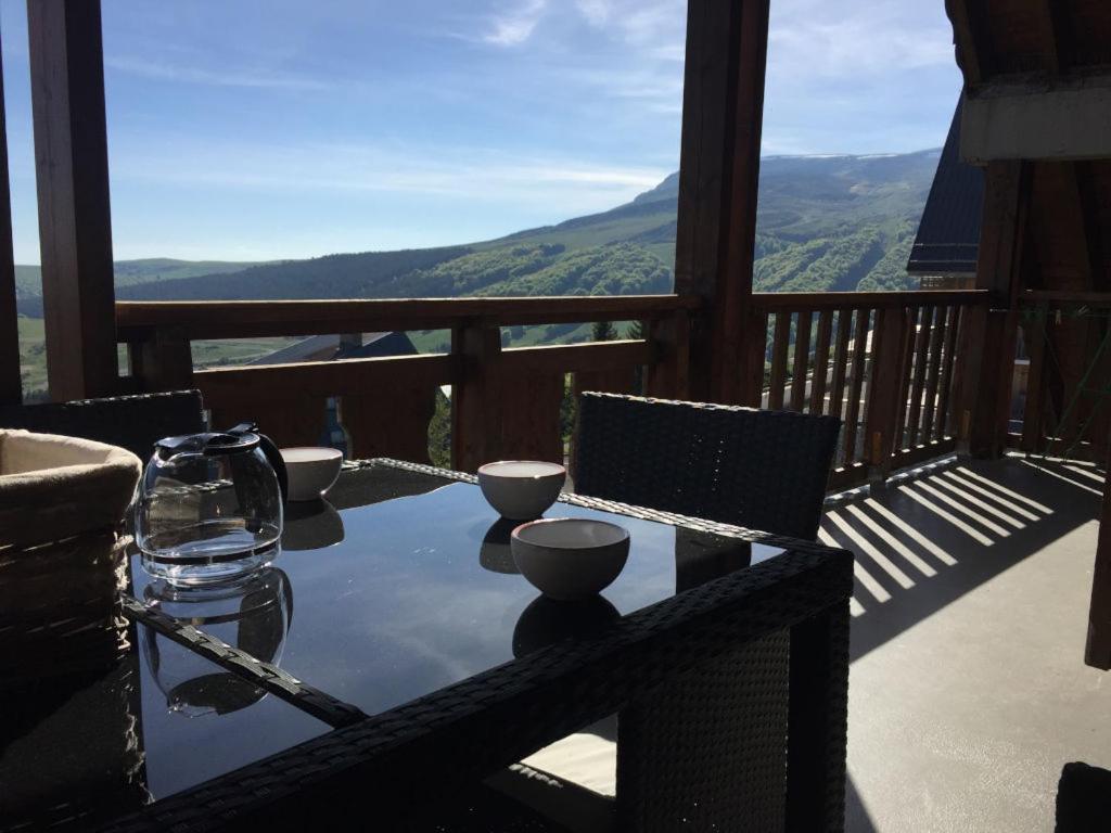 Lama-Gîte-des-Puys T3 Lamado vue époustouflante sud avec grande terrasse photo 1