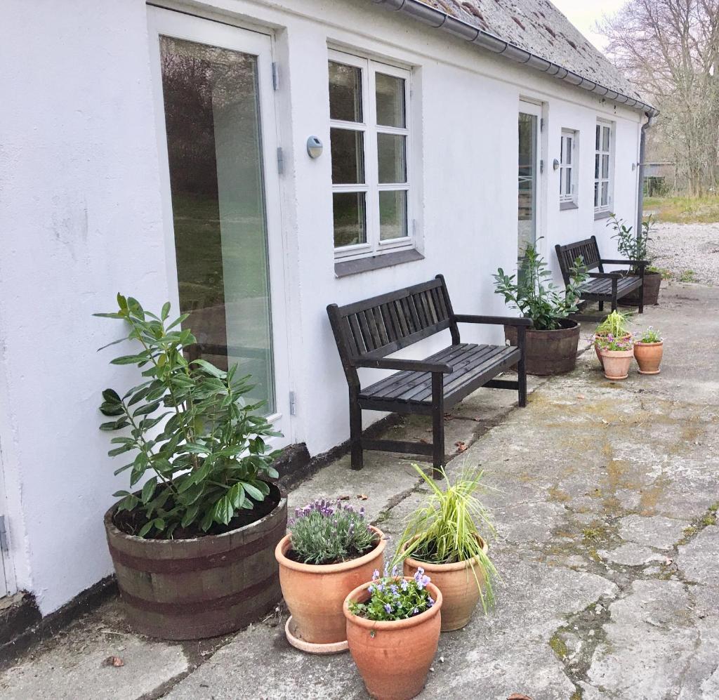 Hvidegaard Møn photo 3