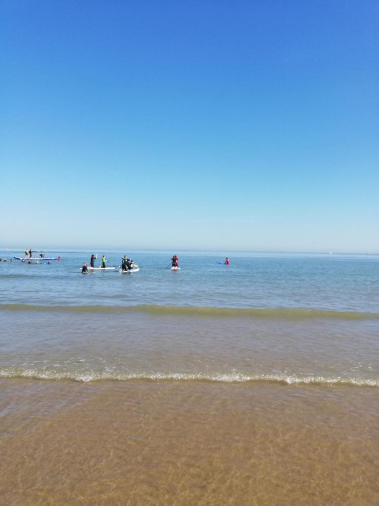 dreamingzeeland photo 2