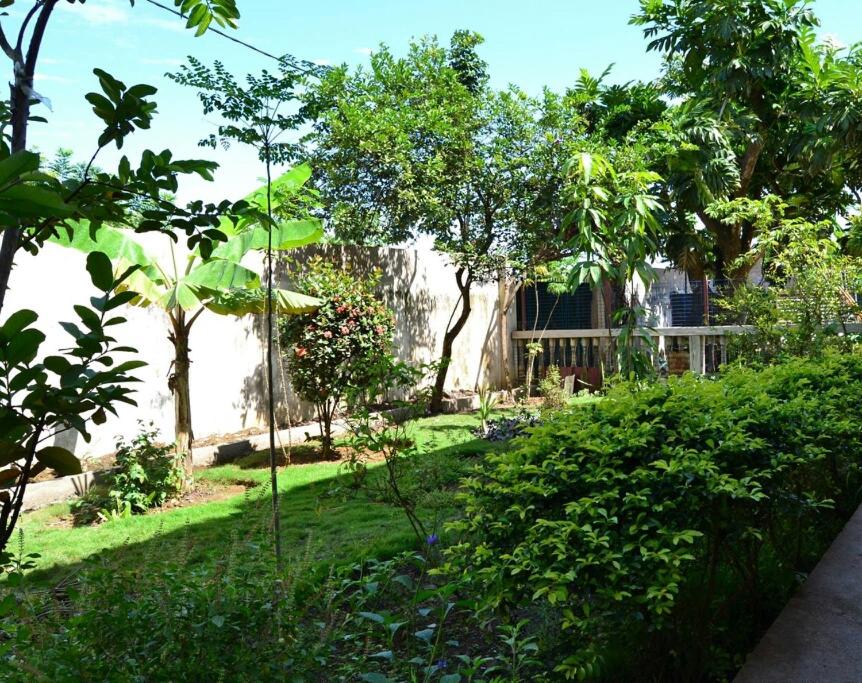 Santos`s House photo 4