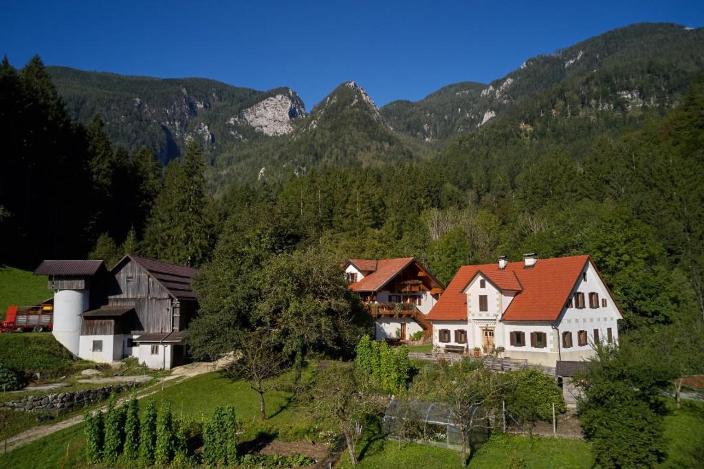 Turistična kmetija Stoglej photo 1