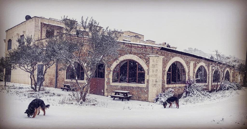 Agriturismo PETRA LUCANA photo 2