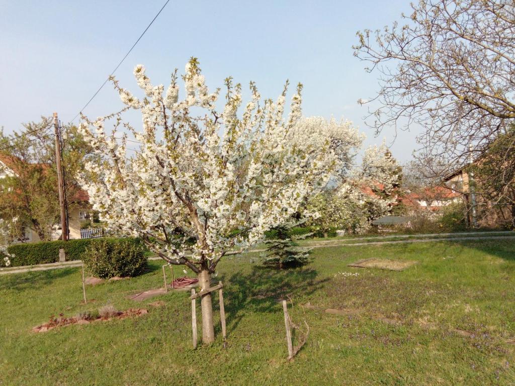 Panoráma Pihenőház photo 1